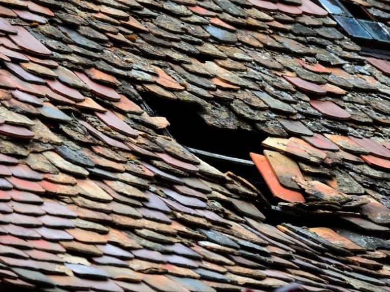dachdecker-neumarkt-dachrenovierung
