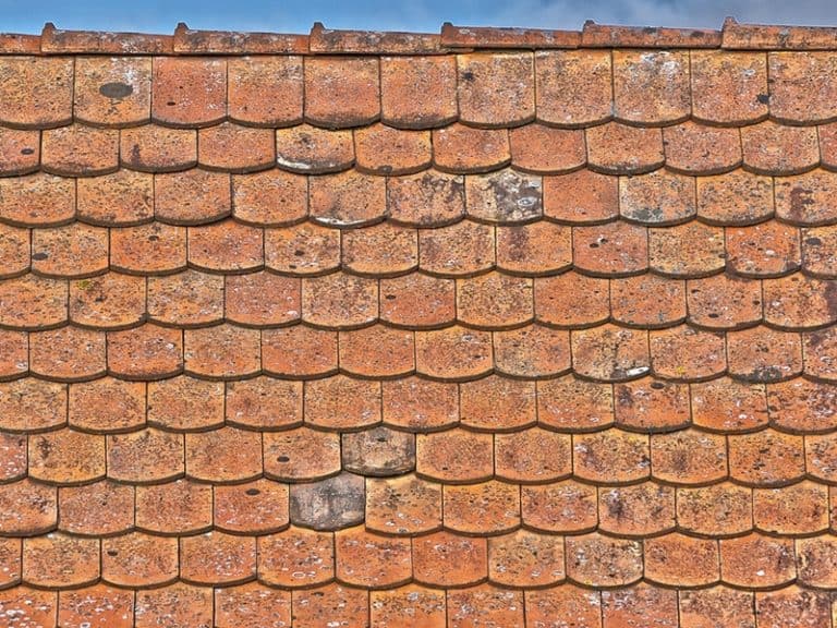 dachdecker-neumarkt-ziegel